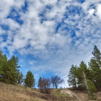 Посмотри, как он хорош, мир, в котором ты живешь! :: Наталья Димова