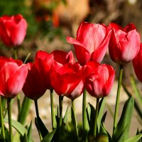 Доброе утро :: Юрий. Шмаков