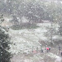 Снег в Сочи-редкое событие :: Валерий 