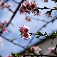 *** :: Павленко Михаил 