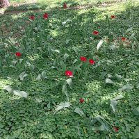 ....... :: Murat Bukaev 