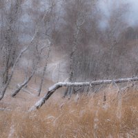Осенний сон :: Сергей Герасимов