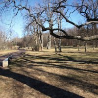 Парк Александрия :: Наталья Герасимова