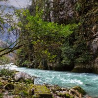 Юпшарский каньон. Абхазия. :: Дина Евсеева