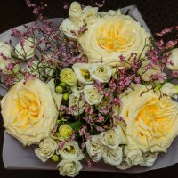 День рождения. :: Борис Калитенко