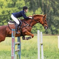 Конкур :: SanSan 