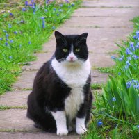 Хорошо в саду :: Людмила Смородинская