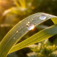 Бриллиант :: Валерий Ткаченко