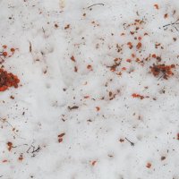 после трапезы :: Елена Шаламова