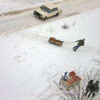 Хурма :: **** vedin