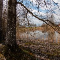 *** :: Геннадий Порохов