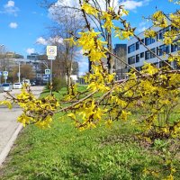 ,,, :: Сергей Тимоновский