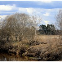 *** :: Aleksandr Gal