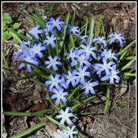 Весенний :: Aleksandr Gal