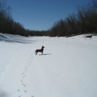 На острове :: Anna Ivanova