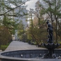 Пустая чаша. :: Николай 