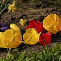 *** :: Игорь Kуленко