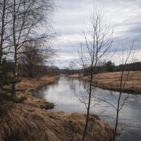 Река Молокча :: Денис Бочкарёв