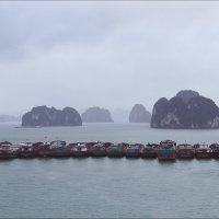 Стая :: Валерий Готлиб