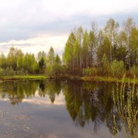 Отражения весны. :: Наталья ***