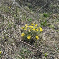Весна.Апрель. :: Андрей Хлопонин
