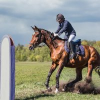 Конкур закидка :: SanSan 