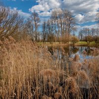 *** :: Геннадий Порохов