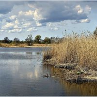 На реке Лаве. :: Валерия Комова