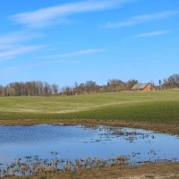 весенние зарисовки :: ИННА ПОРОХОВА