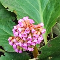 ,,, :: Сергей Тимоновский