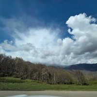 Дорога на Калиновое озеро. Чайные плантации :: Tata Wolf