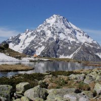 Исполин ... :: Андрей Любимов