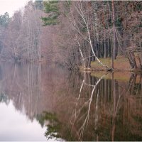 Весна за городом. Апрель. :: Вячеслав Владимирович