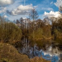 Весенняя прогулка 9 :: Андрей Дворников