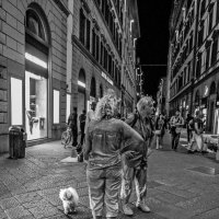 Разные интересы... :: Наталья Rosenwasser