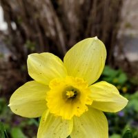 Во всей красе. :: Александр Кондаков