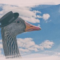 Знайка :: Jakob Dick