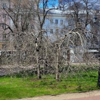 Апрель в Кольцовском сквере :: Татьяна Машошина