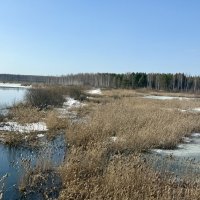 На просторах Родины… :: Pippa 