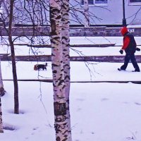 Утро апреля...По бульвару в снегопад с песиком! :: Владимир 