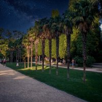 Отредактировано с ИИ :: Роман Савоцкий