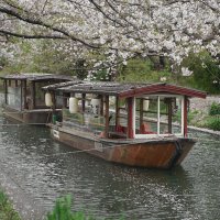 Прогулочные лодки в Киото. :: Liliya 
