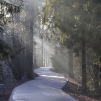 Весеннее утро........ :: Юрий Цыплятников