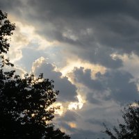 вечернее :: Елена Шаламова