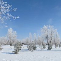 Пейзаж начала марта :: Елена Шаламова