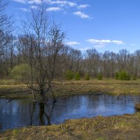 Протока. Середина апреля :: Сергей Цветков