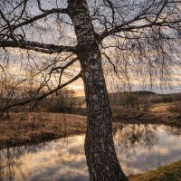 Река Молокча :: Денис Бочкарёв