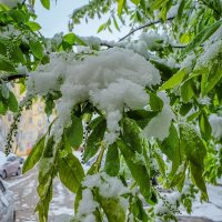 19 Апреля 2017 года город Белгород ... :: Ravile 