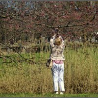 *** :: Aleksandr Gal