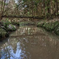 Весна . Лесной ручей :: Va-Dim ...